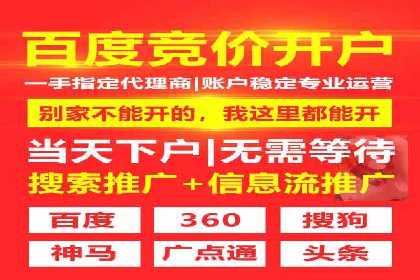 竞价排名在品牌推广中的经典案例