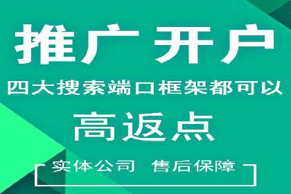 揭秘！百度竞价排名背后的成功故事
